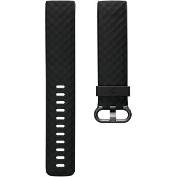 Charge 4 Classic Band L