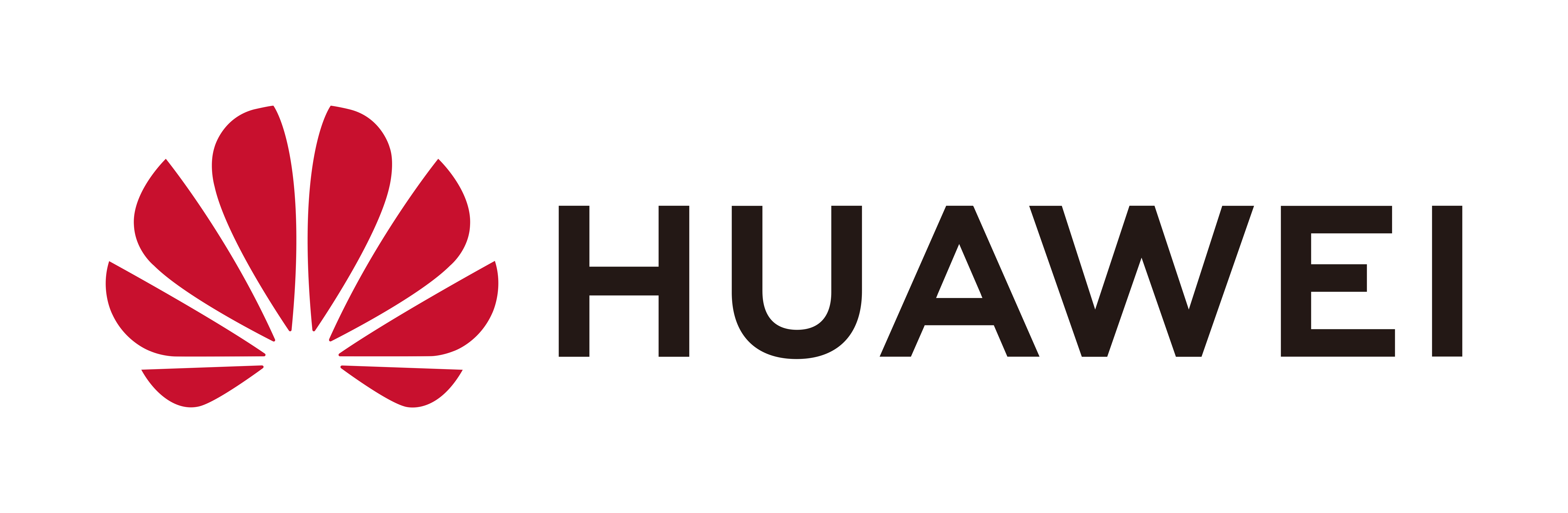 Fitbit Logo