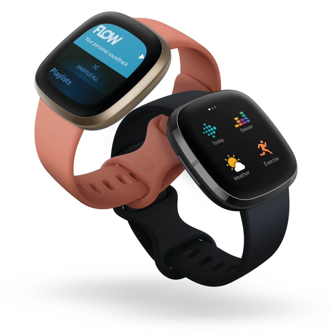 Fitbit Duo